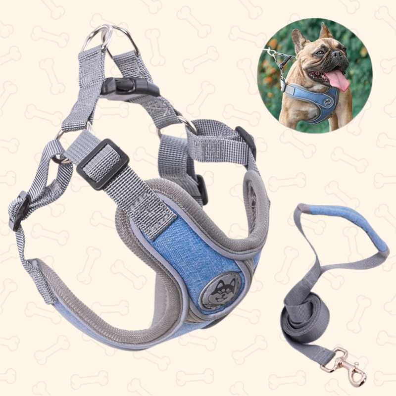 Shadow Reflective Comfort Fit Dog Harness & Leash Set