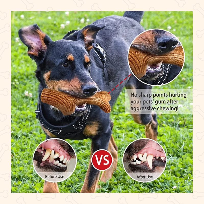 Shadow Natural Wood Chew Stick β Durable Dog Dental Toy