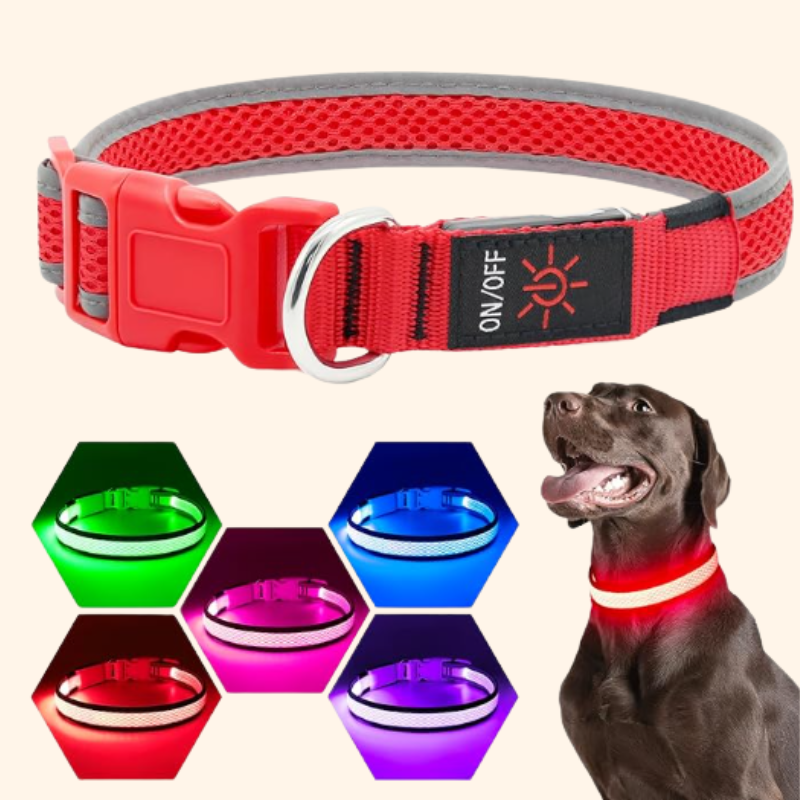 Shadow GlowGuard LED Dog Collar