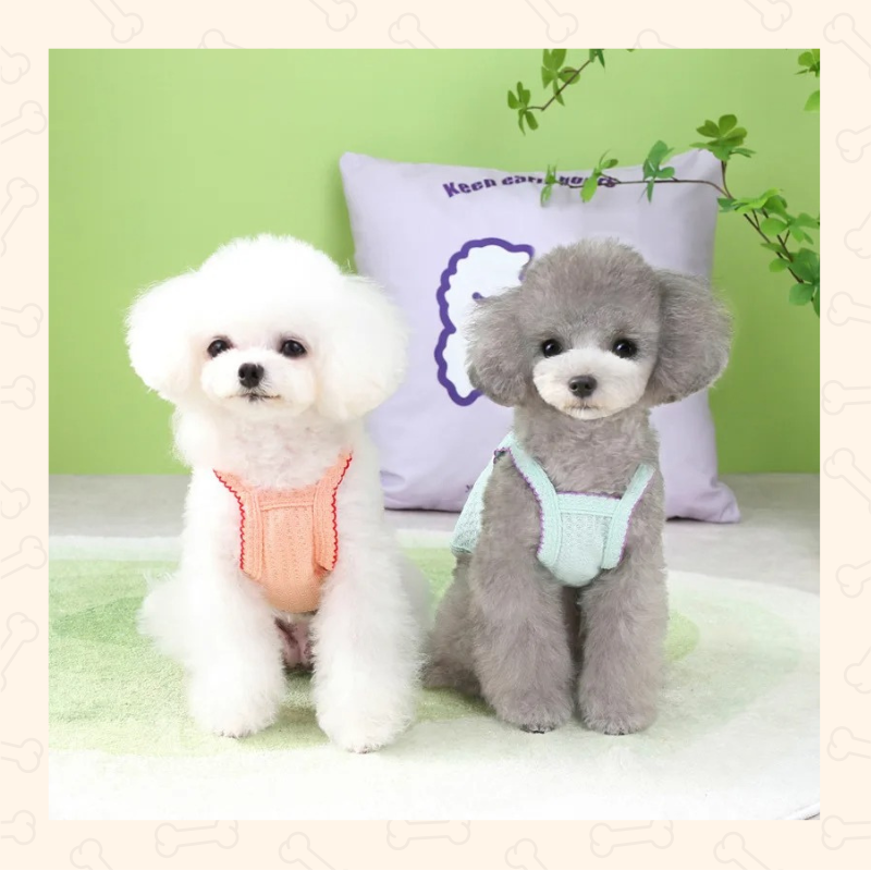 Shadow Summer Breeze Strap Dog Outfit – Soft, Airy & Effortlessly Cute