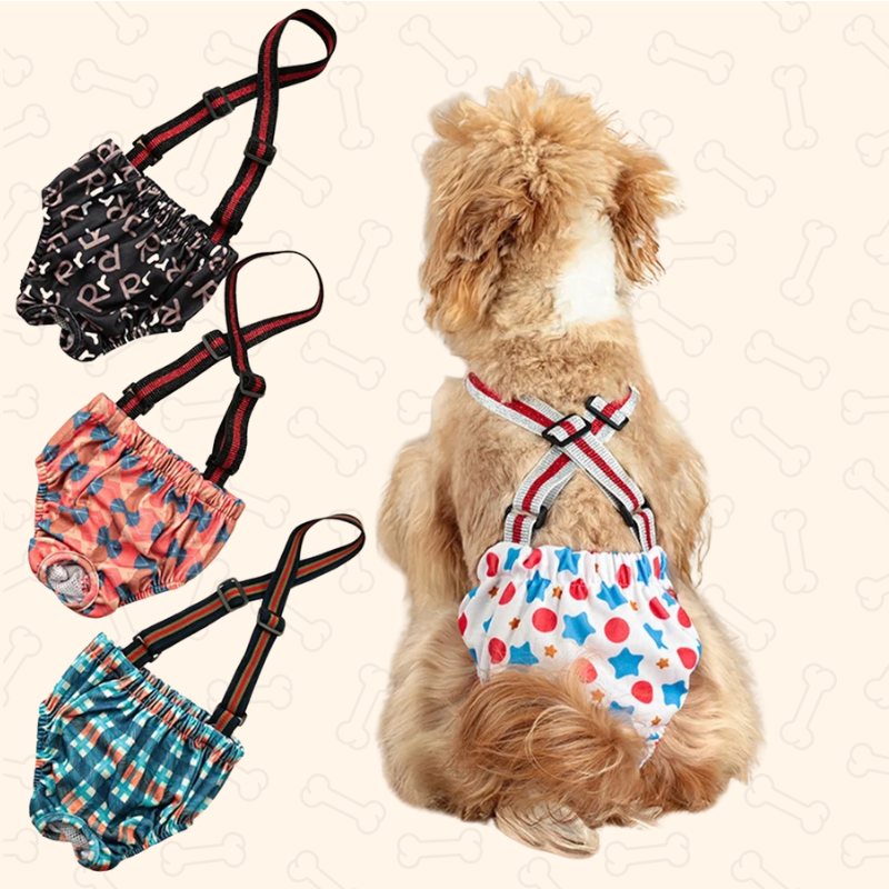 Reusable Dog Diaper Shorts – Comfy, Adjustable & Mess-Free Chic