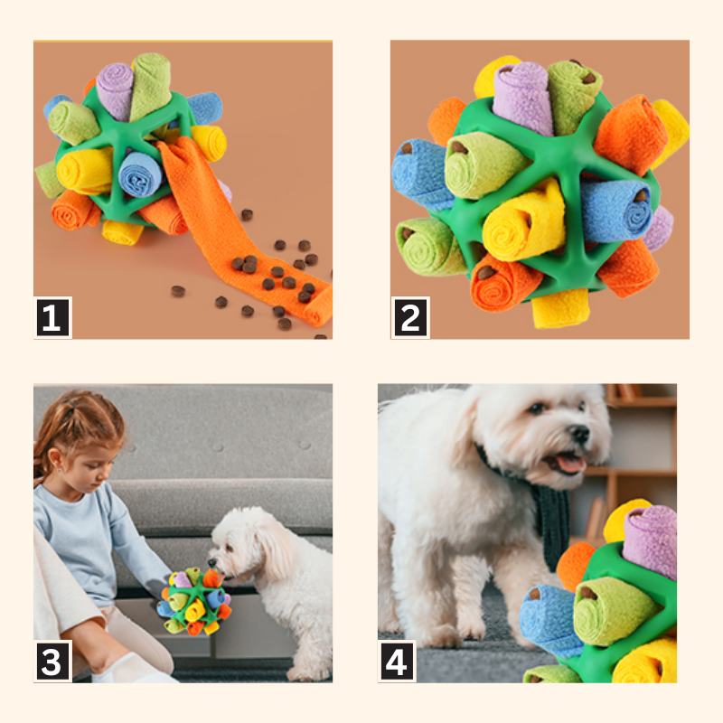 Shadow Interactive Sniff & Treat Puzzle Ball for Dogs