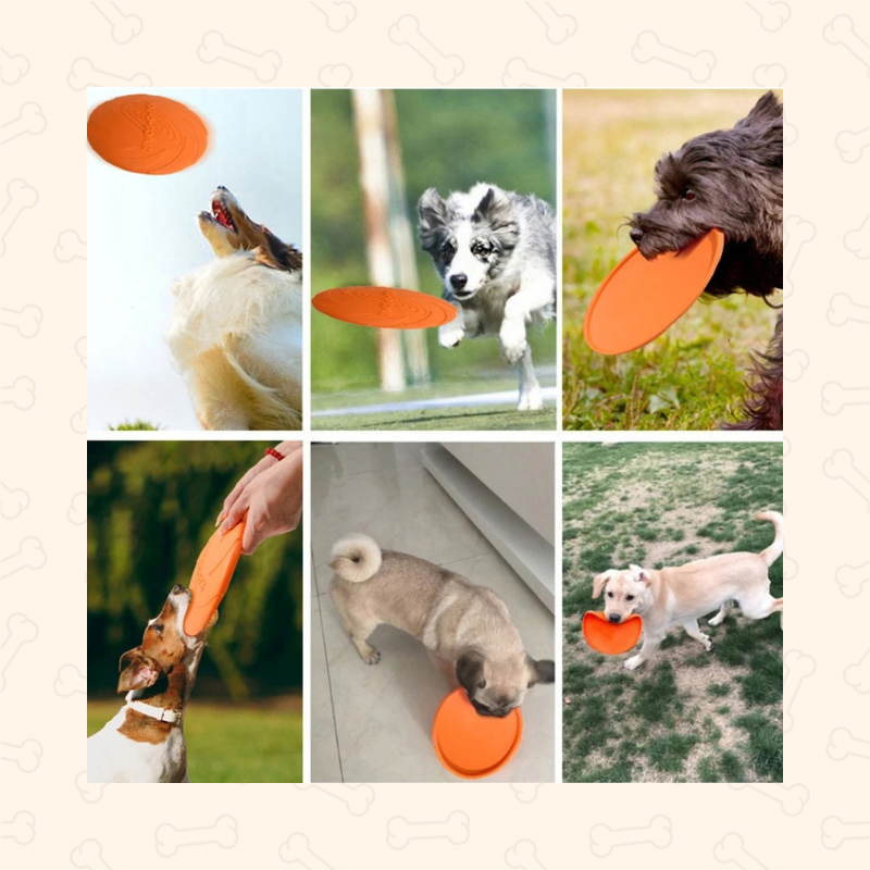 Shadow Durable Soft Dog Frisbee β Bite-Resistant & Outdoor Fun