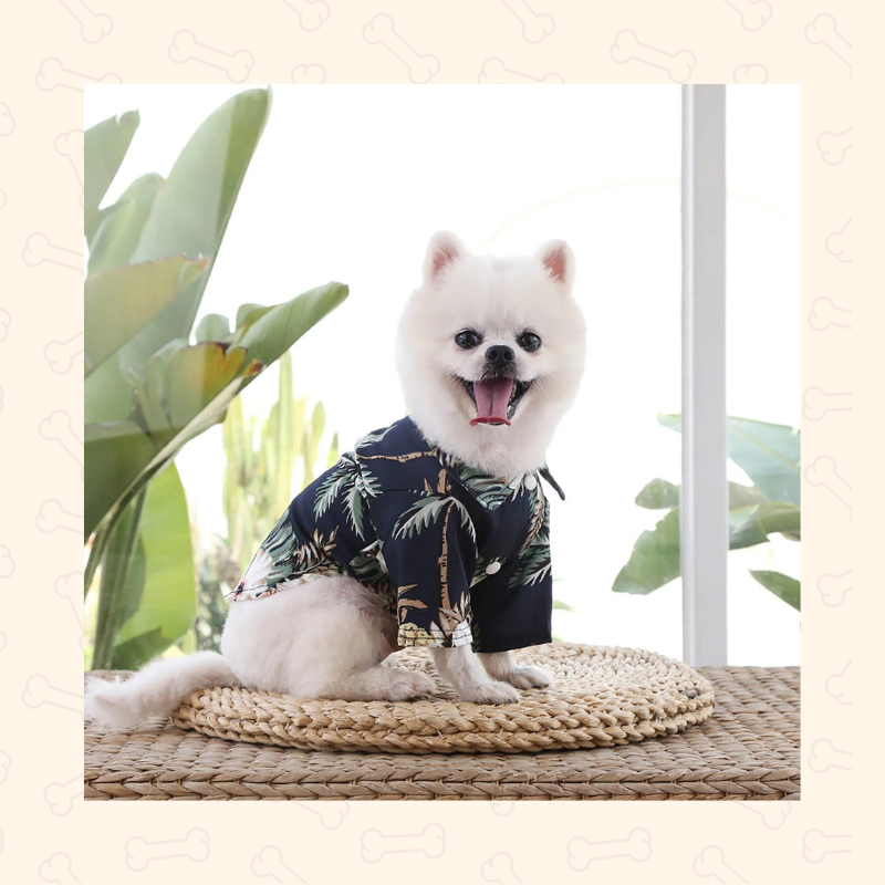 Shadow Aloha Pup Hawaiian Shirt – Breezy, Bold & Beach-Ready
