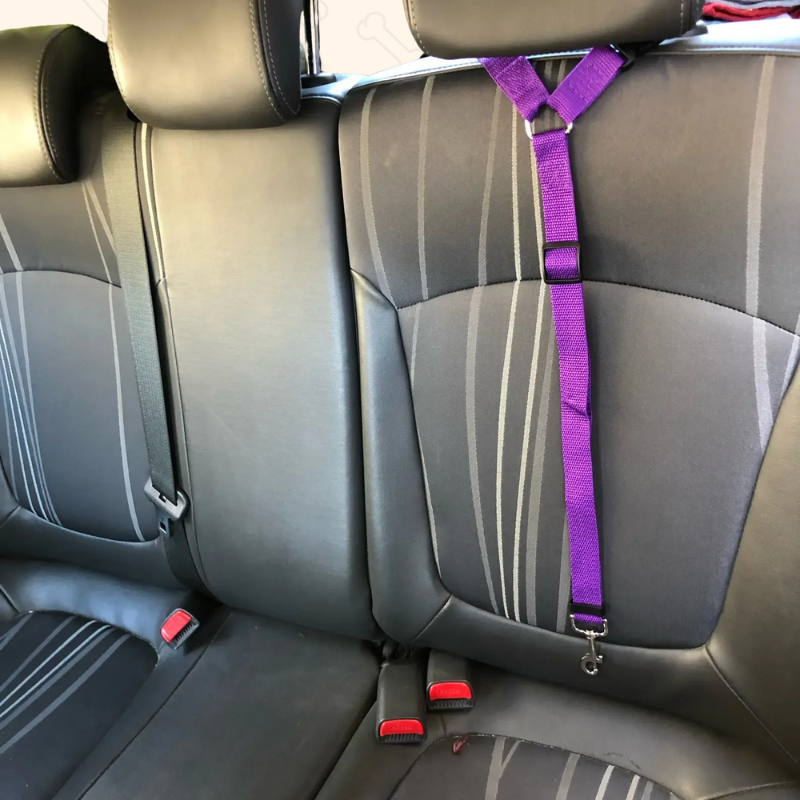 Shadow 2-in-1 Adjustable Dog Car Seat Belt & Leash
