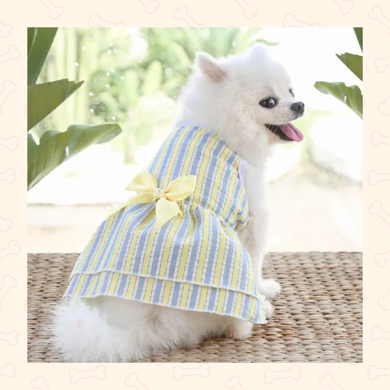 Shadow Princess Pup Tutu Dress – Sweet, Flowy & Full of Charm