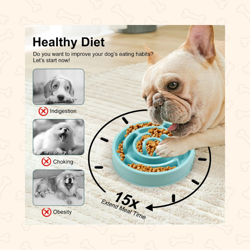 Shadow Anti-Gulping Maze Slow Feeder Bowl