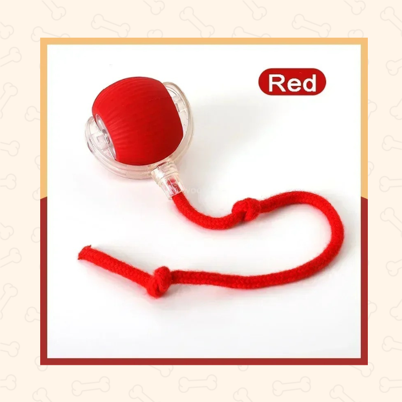 Shadow Smart Rolling Dog Ball Toy