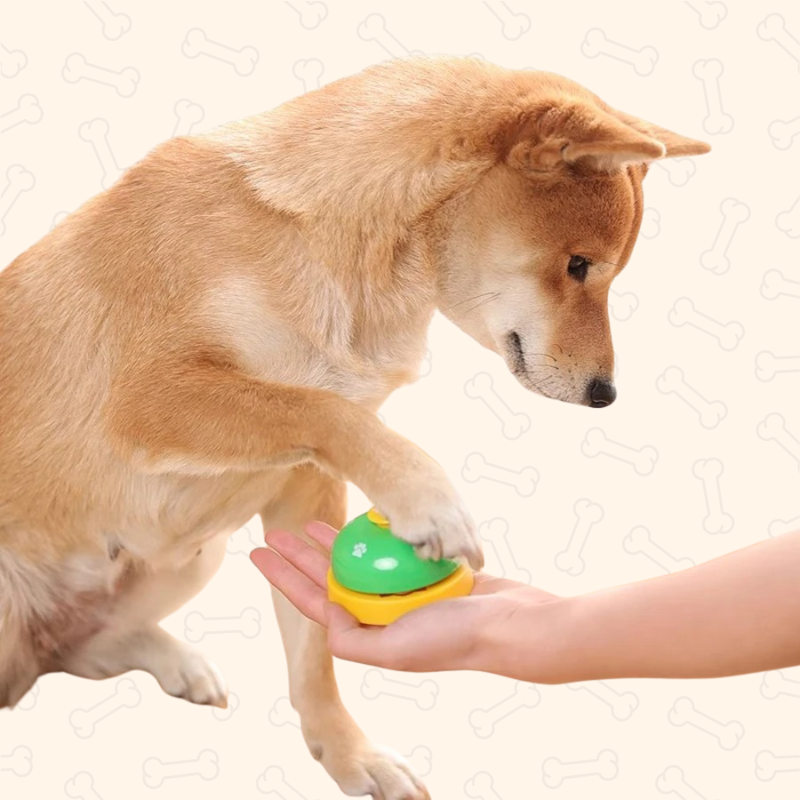 Shadow Pet Training Paw Bell β Meal & Play Alert