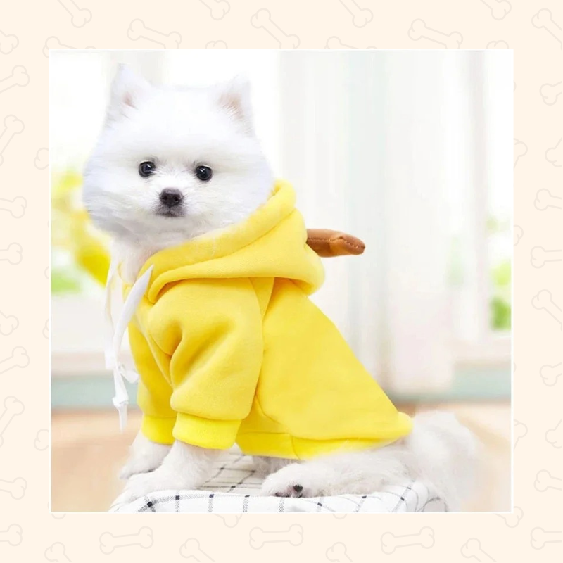 Shadow Fruit Pet Hoodie – Sweet, Snug & Full of Personality