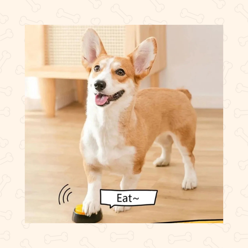 Shadow SmartTalk Dog Communication Buttons β 30s Voice Recorder