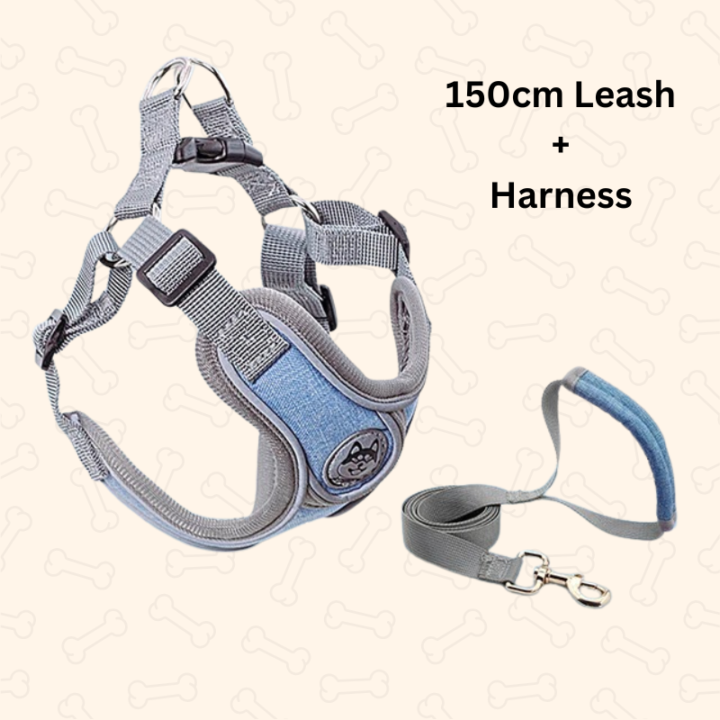 Shadow Reflective Comfort Fit Dog Harness & Leash Set