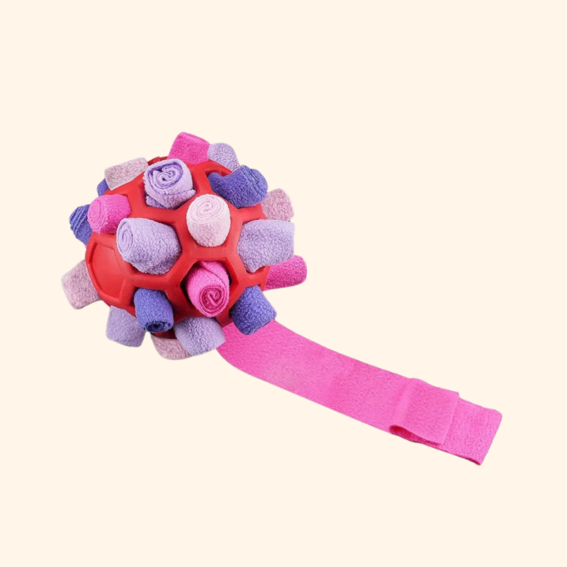 Shadow Interactive Sniff & Treat Puzzle Ball for Dogs