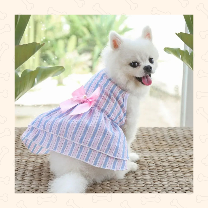 Shadow Princess Pup Tutu Dress – Sweet, Flowy & Full of Charm