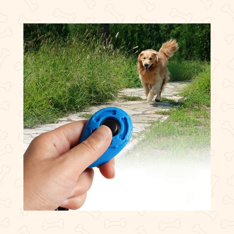 Shadow Pet Training Clicker β Wristband & Keychain Trainer