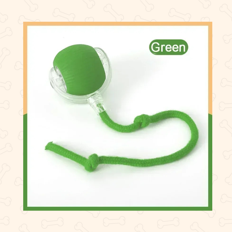 Shadow Smart Rolling Dog Ball Toy