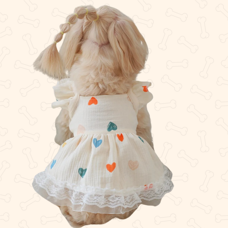 Shadow Royal Hearts Lace Pet Dress