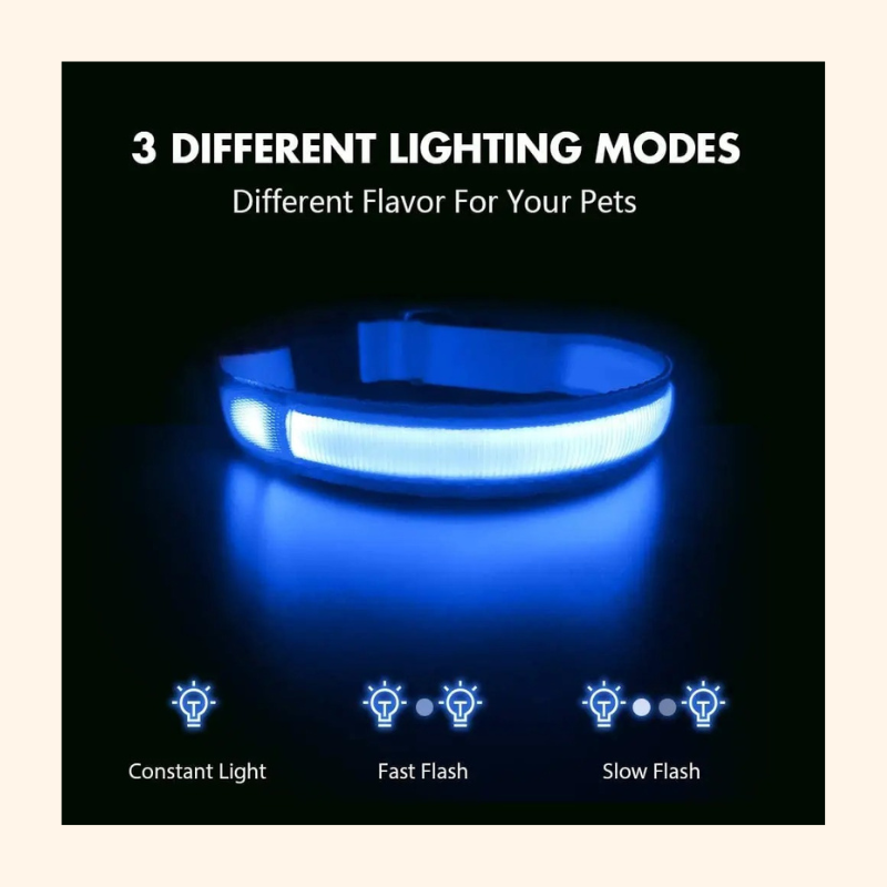 Shadow GlowGuard LED Dog Collar