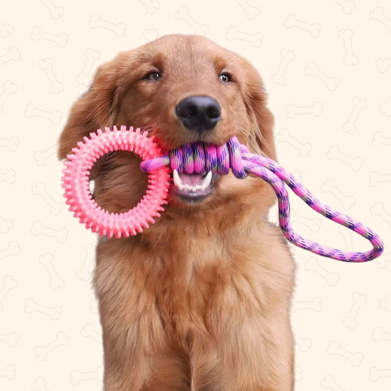 Shadow GripTug Spiked Training Ring
