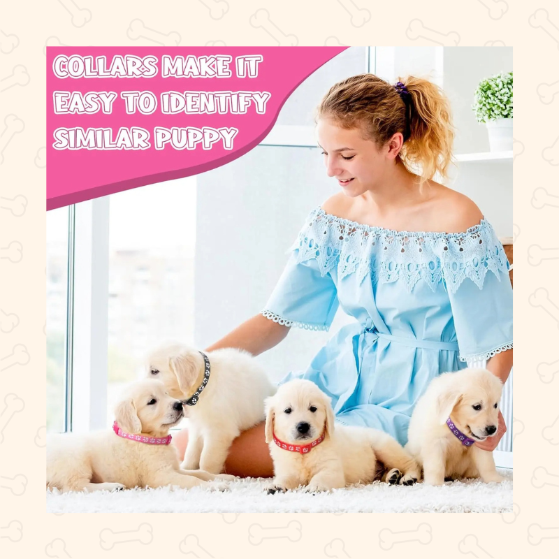 Shadow Colorful Paw Print Adjustable Pet Collar with Bell