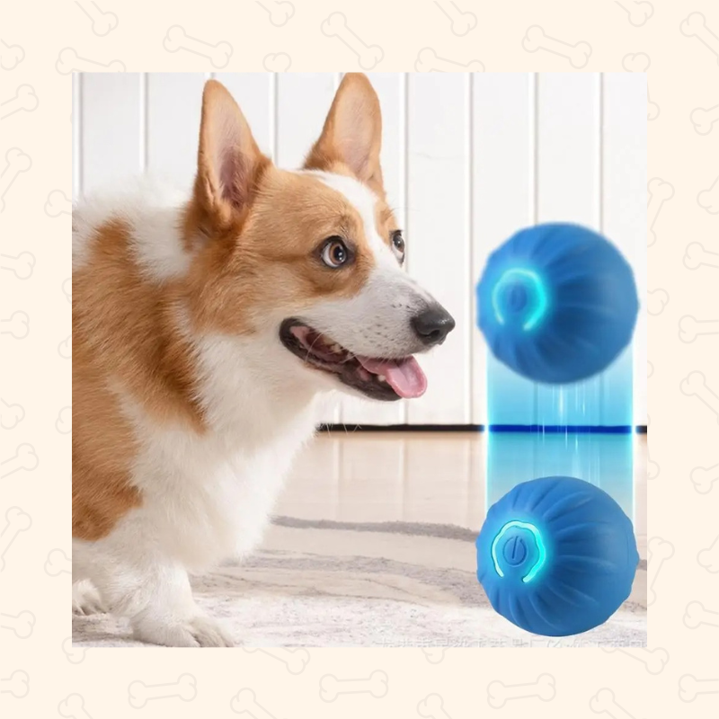 Shadow Smart Motion Interactive Dog Ball