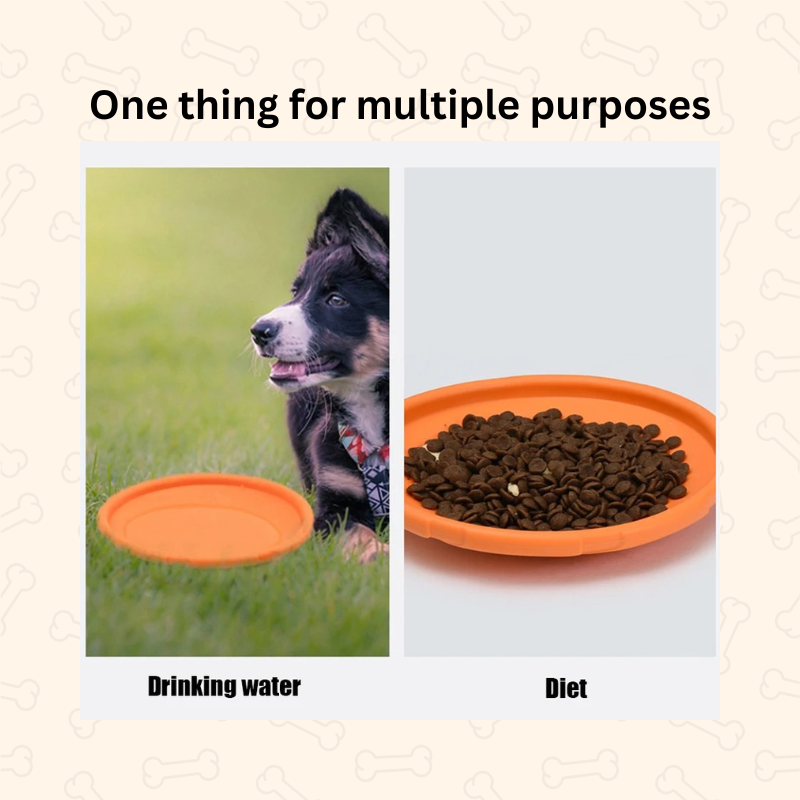 Shadow Durable Soft Dog Frisbee β Bite-Resistant & Outdoor Fun