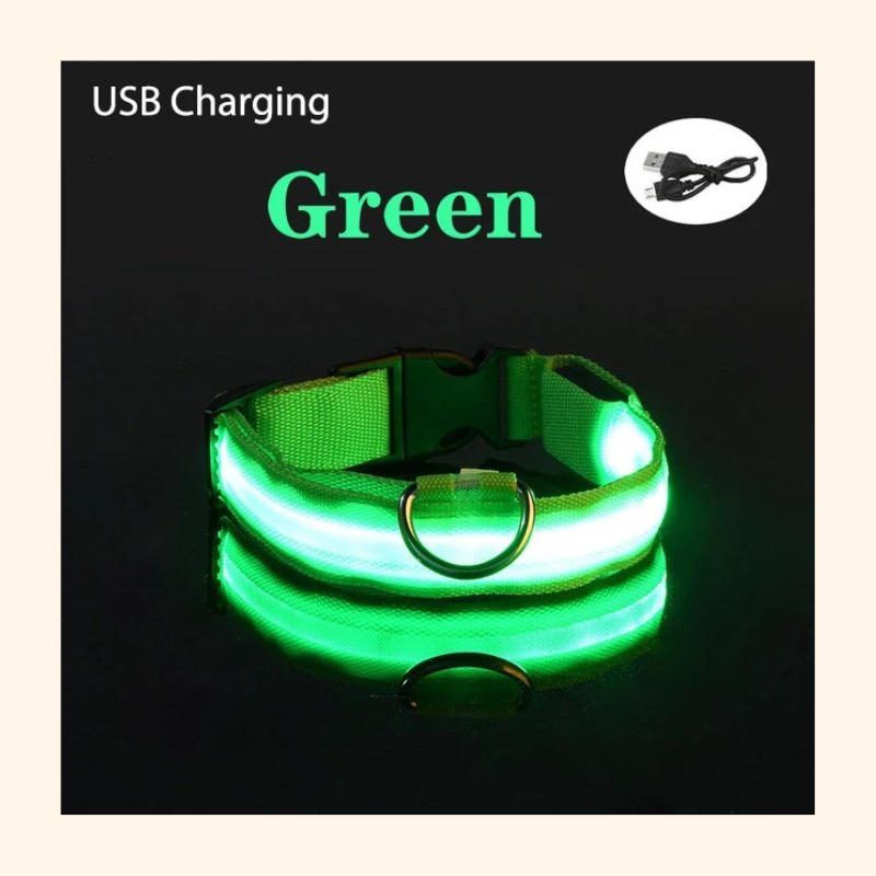 Shadow GlowGuard LED Dog Collar