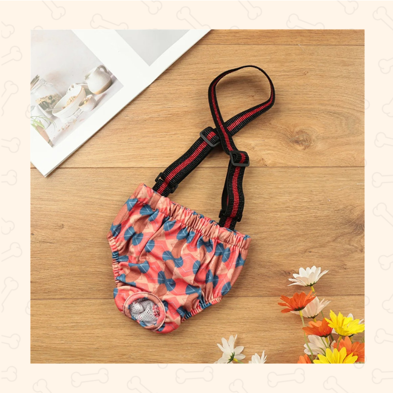 Reusable Dog Diaper Shorts – Comfy, Adjustable & Mess-Free Chic