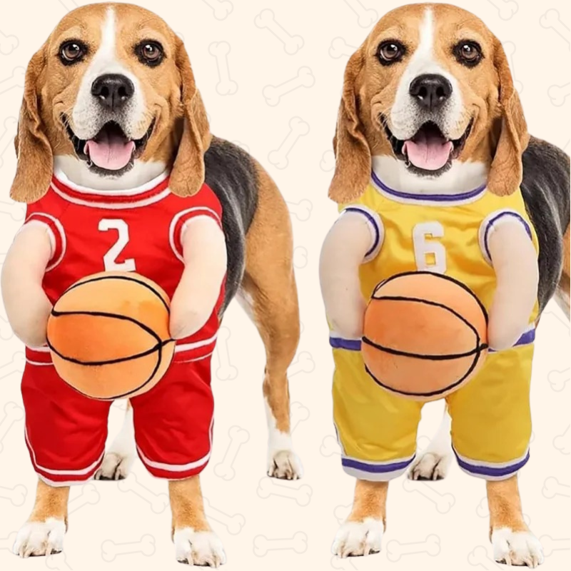 Shadow Barksketball Dog Costume – Sporty, Funny & Full of Game