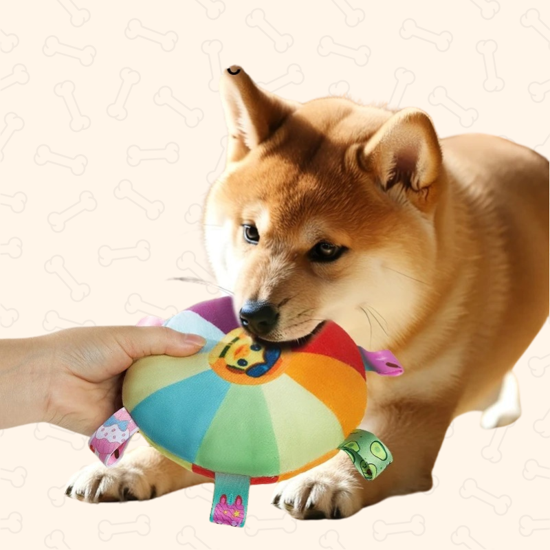 Shadow Soft Plush Squeaky Dog Frisbee