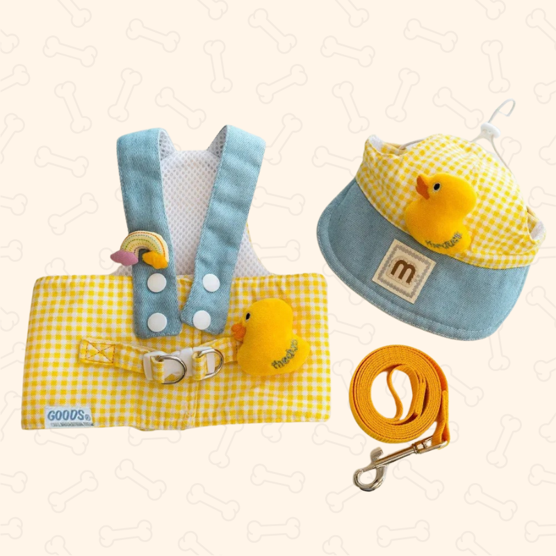 Shadow Adorable Puppy Outfit Set β Harness, Leash & Hat