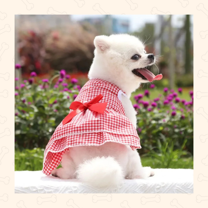Shadow Princess Pup Tutu Dress – Sweet, Flowy & Full of Charm