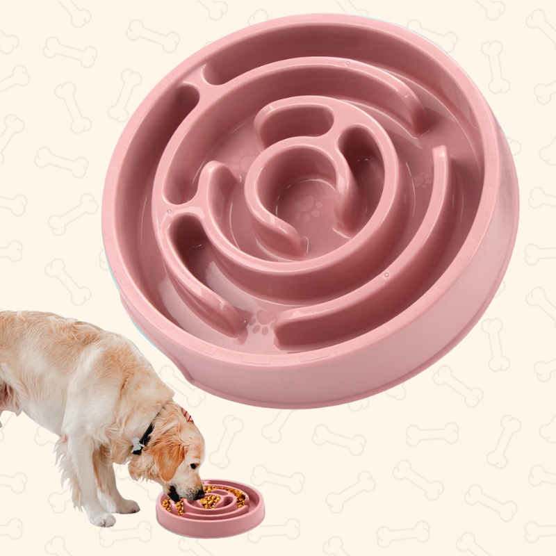Shadow Anti-Gulping Maze Slow Feeder Bowl