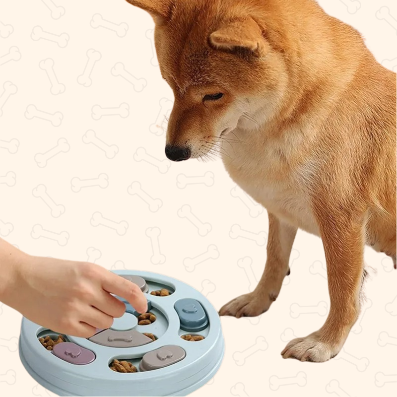 ™Shadow Interactive Slow Feeder Puzzle – Dog Training Toy