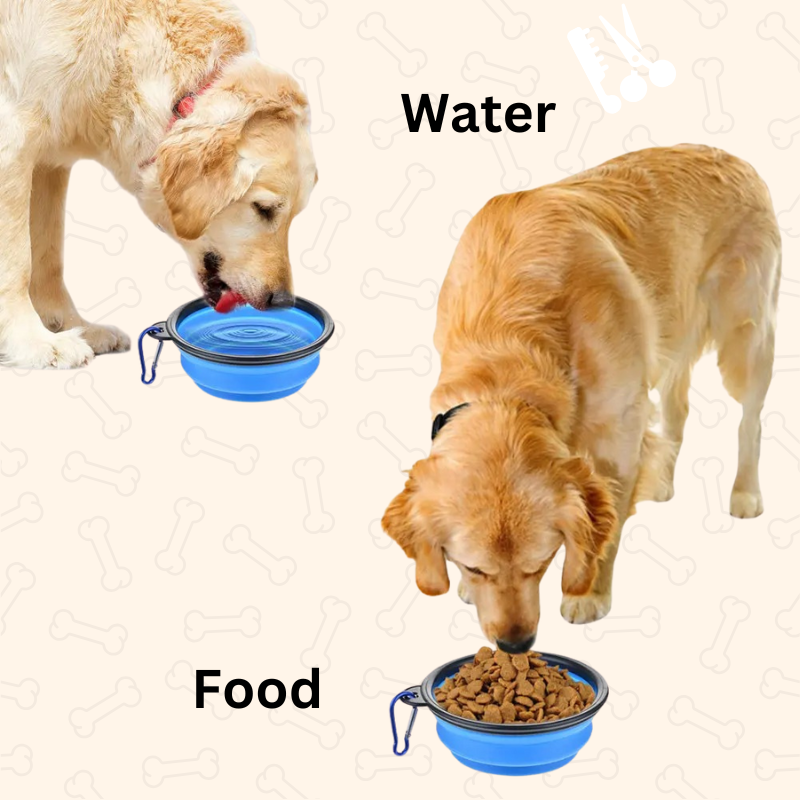 Shadow AdventurePaws Collapsible Travel Dog Bowl