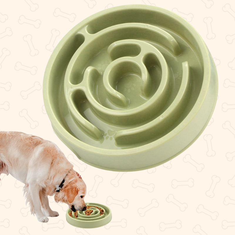 Shadow Anti-Gulping Maze Slow Feeder Bowl