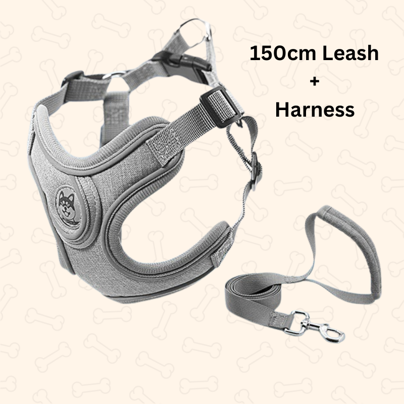 Shadow Reflective Comfort Fit Dog Harness & Leash Set