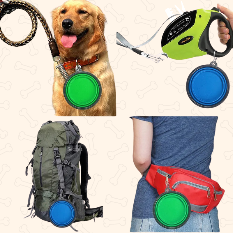 Shadow AdventurePaws Collapsible Travel Dog Bowl