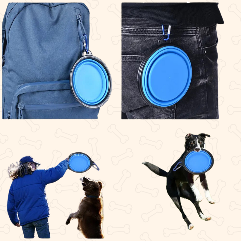 Shadow AdventurePaws Collapsible Travel Dog Bowl