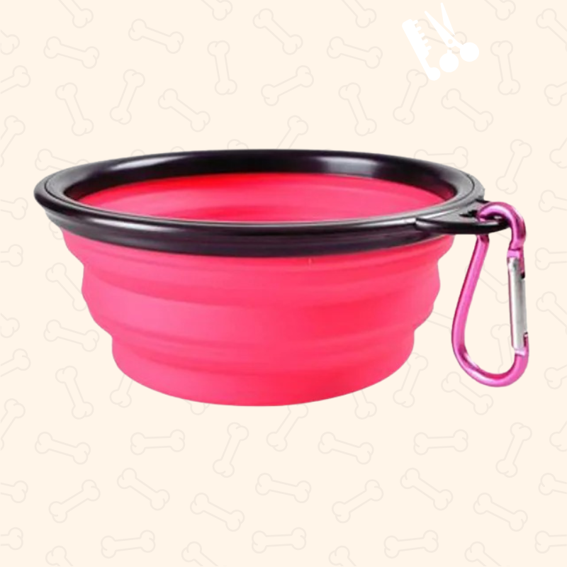 Shadow AdventurePaws Collapsible Travel Dog Bowl