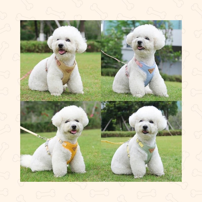 Shadow Breathable Comfort Fit Puppy Harness & Leash Set