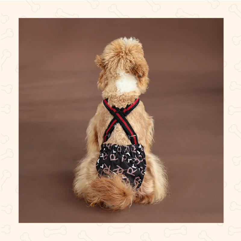 Reusable Dog Diaper Shorts – Comfy, Adjustable & Mess-Free Chic