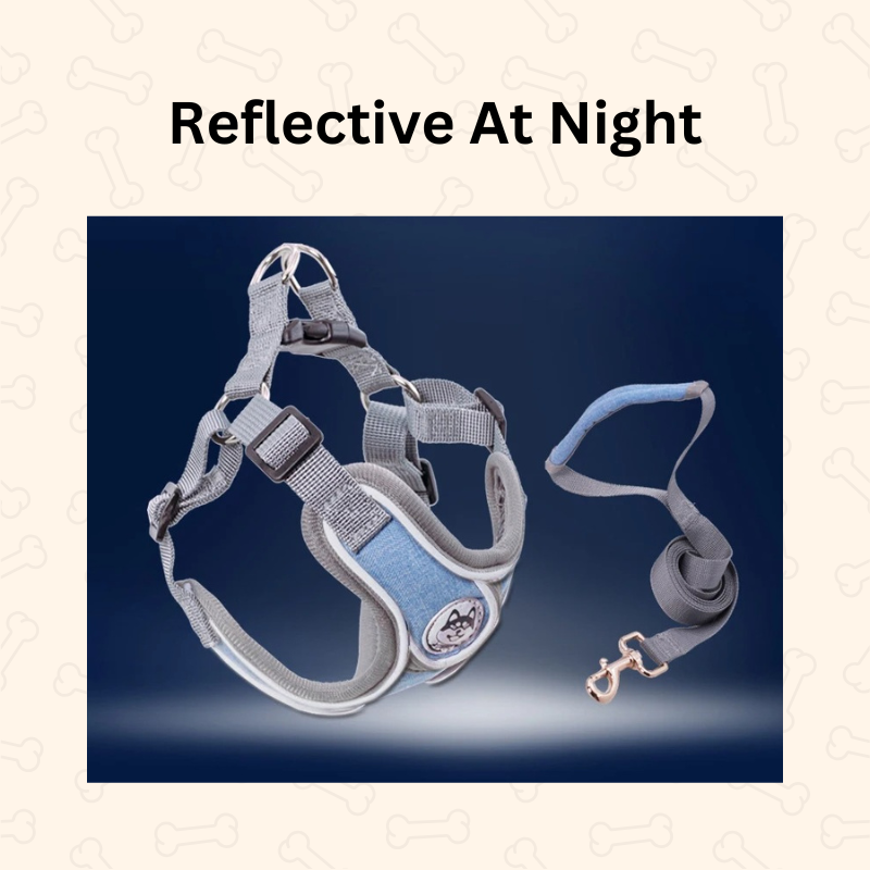 Shadow Reflective Comfort Fit Dog Harness & Leash Set