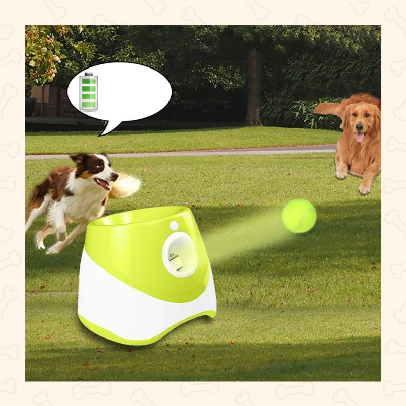 Shadow Automatic Dog Tennis Ball Launcher