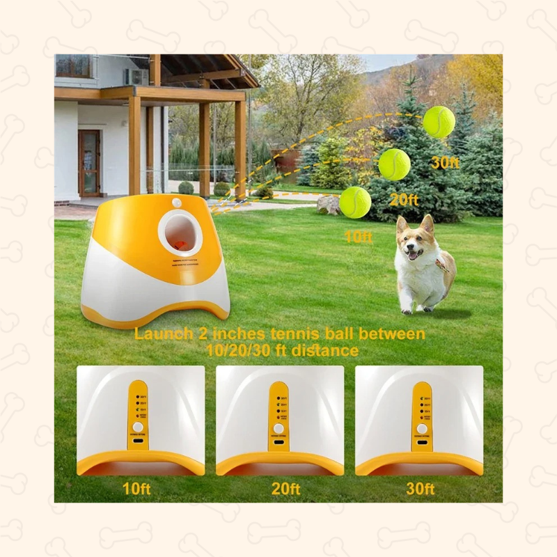 Shadow Automatic Dog Tennis Ball Launcher