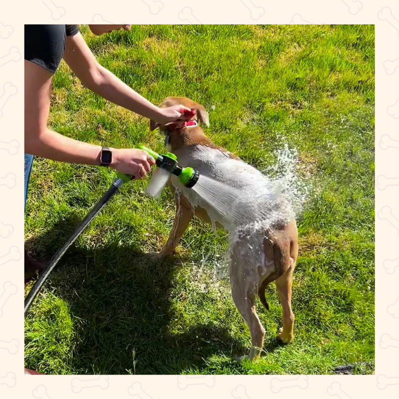 Shadow EasyGroom Pup Jet Dog Washer