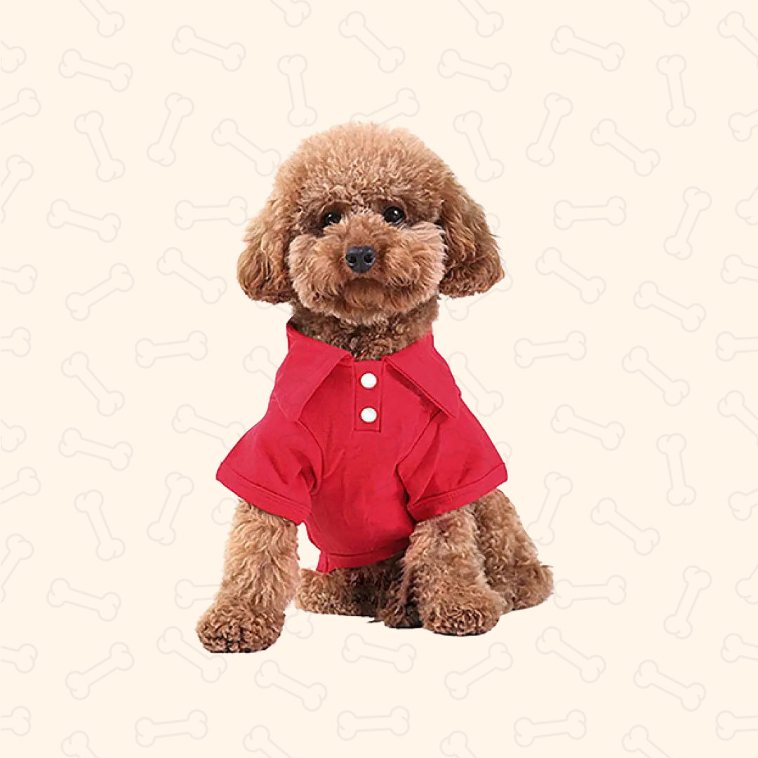 Shadow Classic Paws Button-Up Pet Shirt