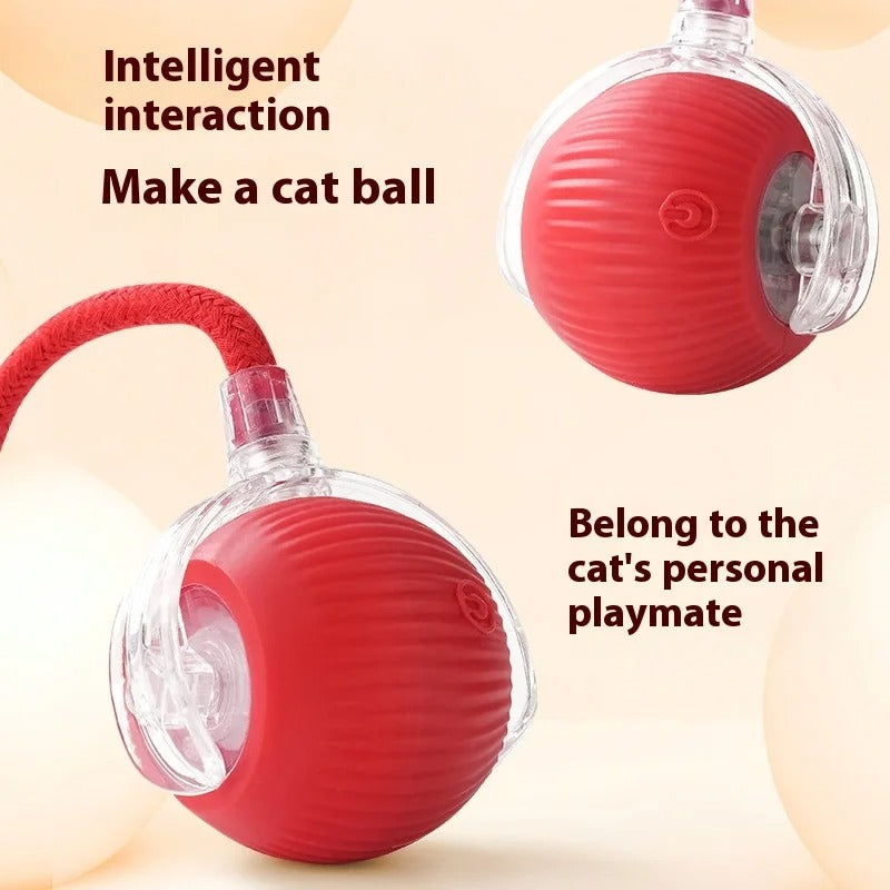 Shadow Smart Rolling Dog Ball Toy