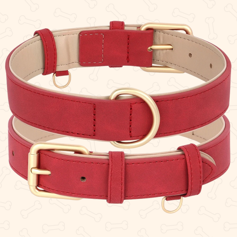 Shadow Luxury Soft Padded PU Leather Dog Collar & Leash Set