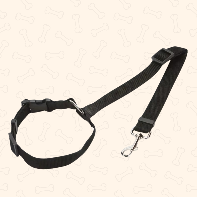 Shadow 2-in-1 Adjustable Dog Car Seat Belt & Leash